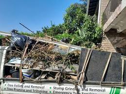 Best Property Management Cleanouts  in Stewartville, MN